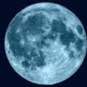 Meet your Posher, Alexus